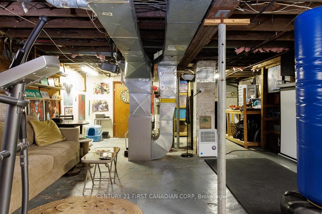 52 Myrtle Street photo 34
