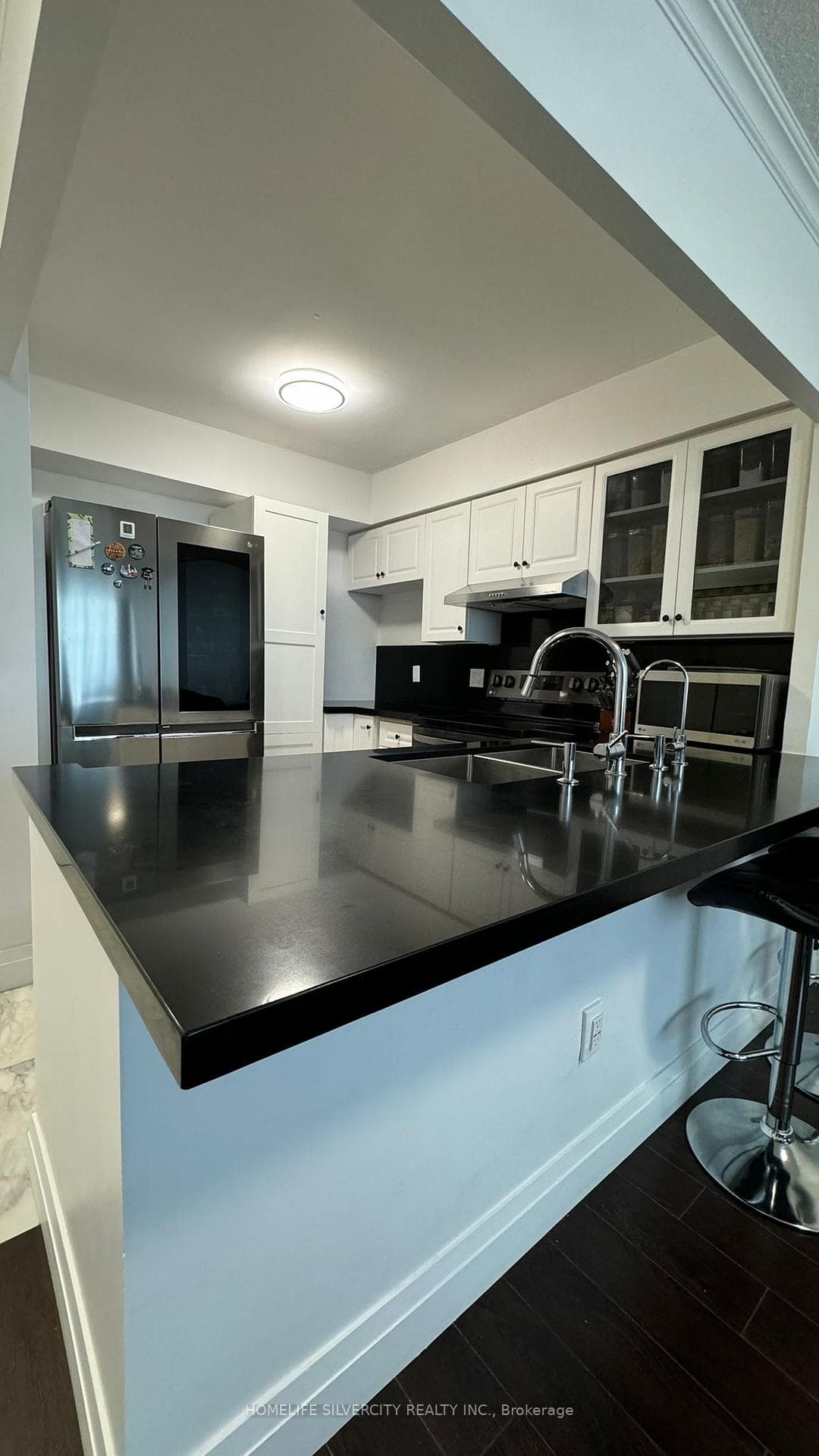 55 Elm Drive Unit #2206 photo 2