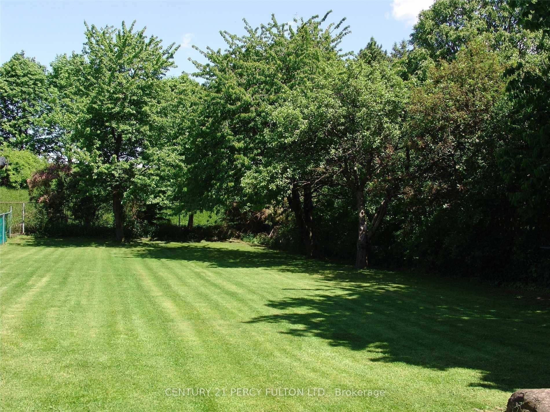 64 Sealstone Terrace photo 16