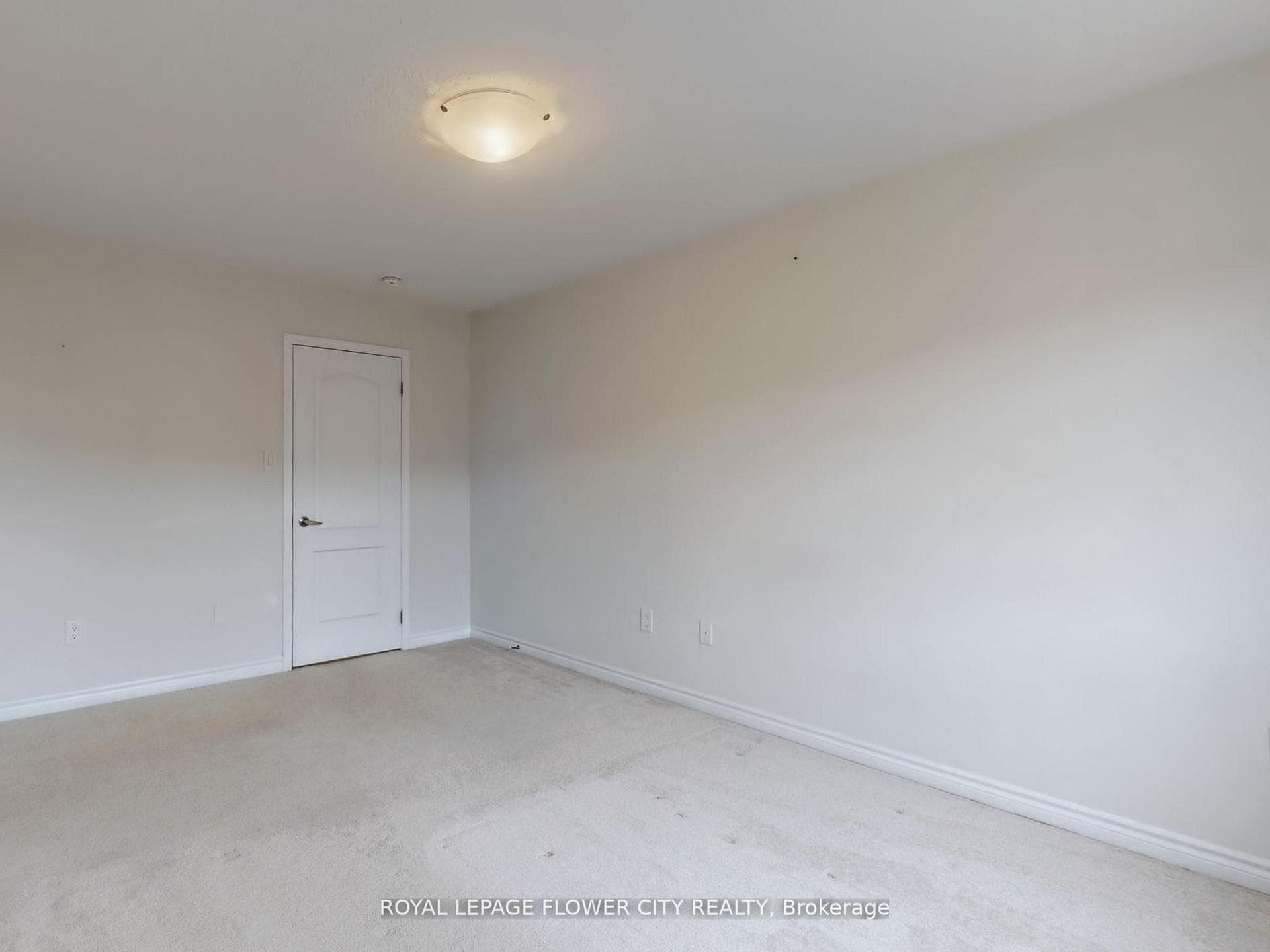 21 Eckford Lane photo 33