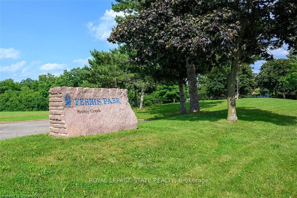 Ferris Park