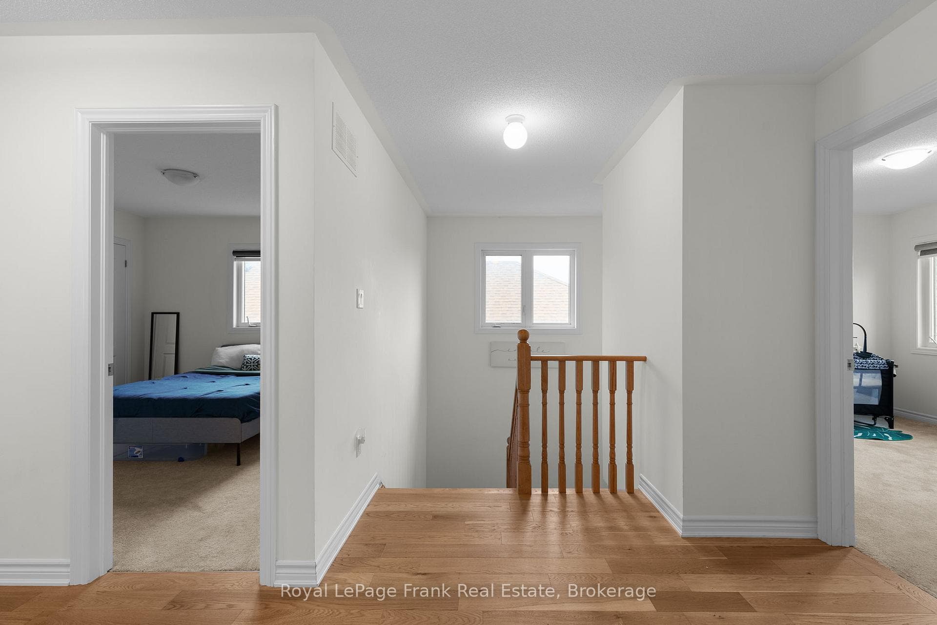 18 Stoddart Street photo 34