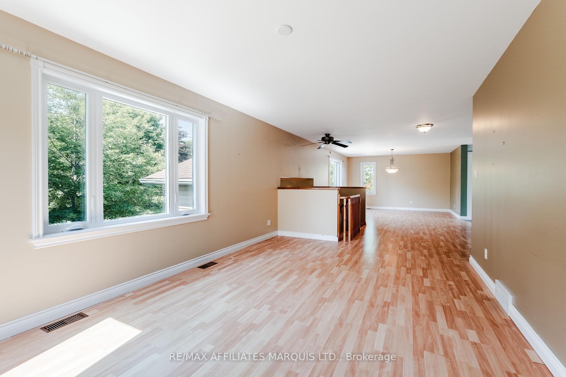 24 Nelson Street photo 11