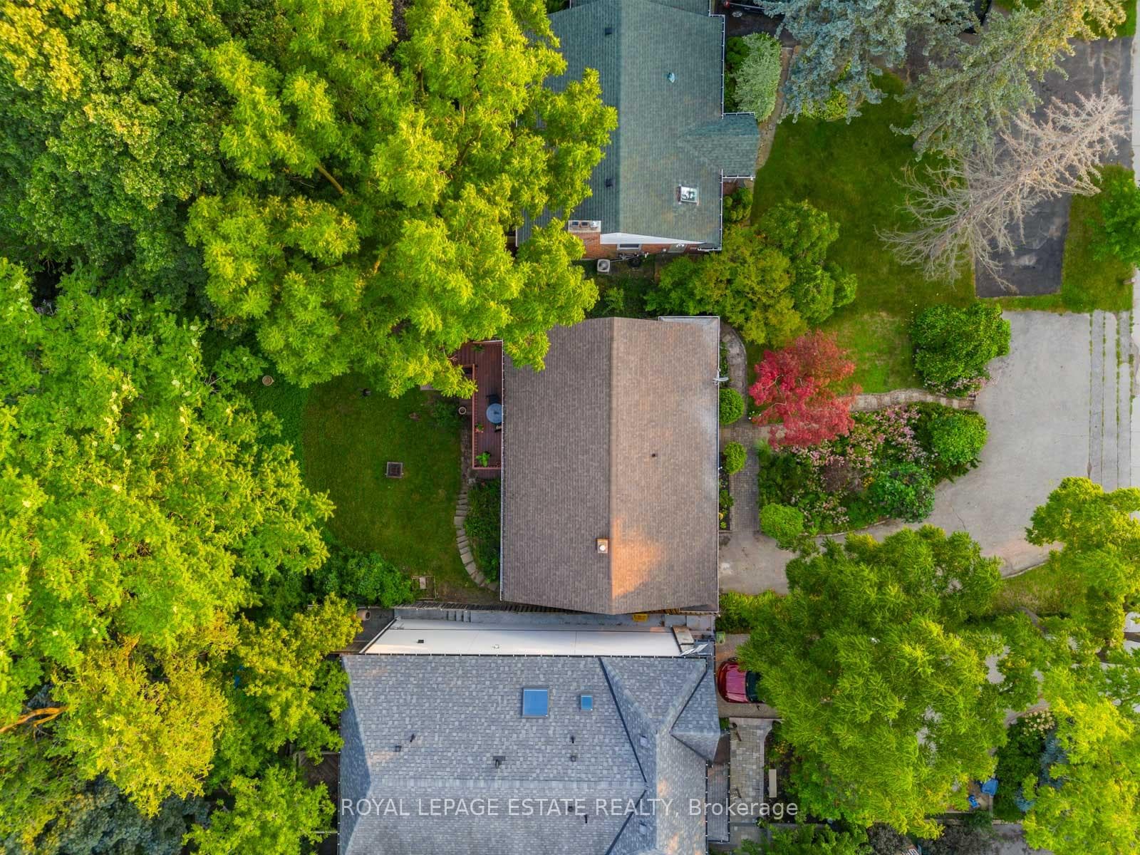 4669 Dundas Street photo 31