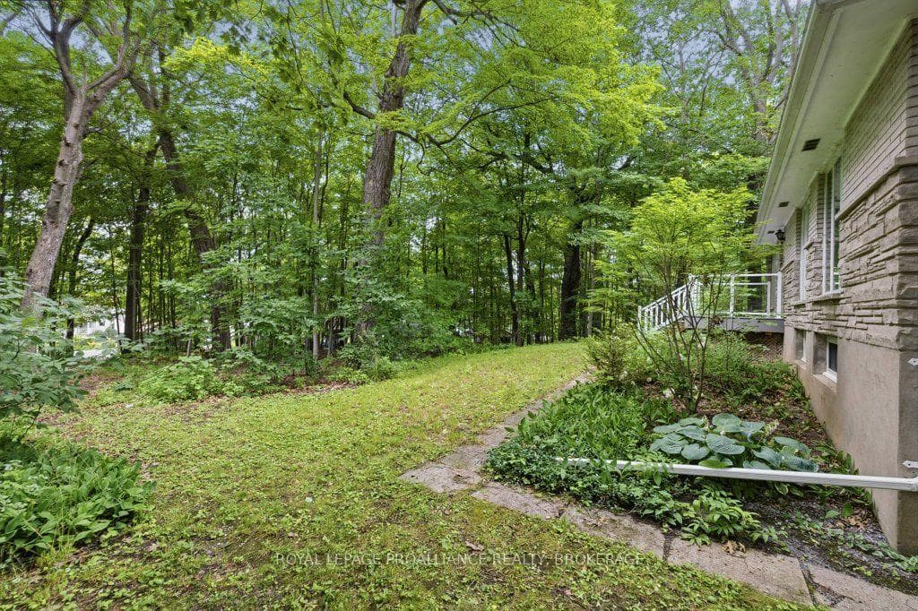 12 Oriole Lane photo 32