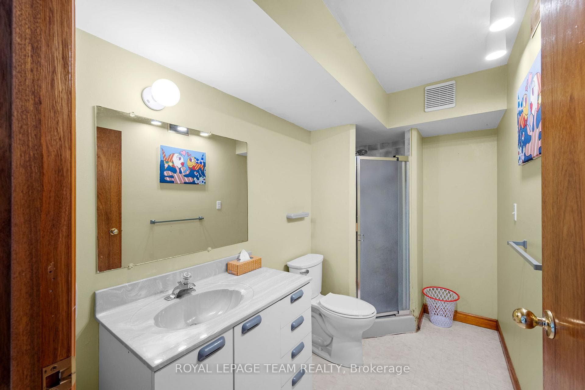 Basement bathroom