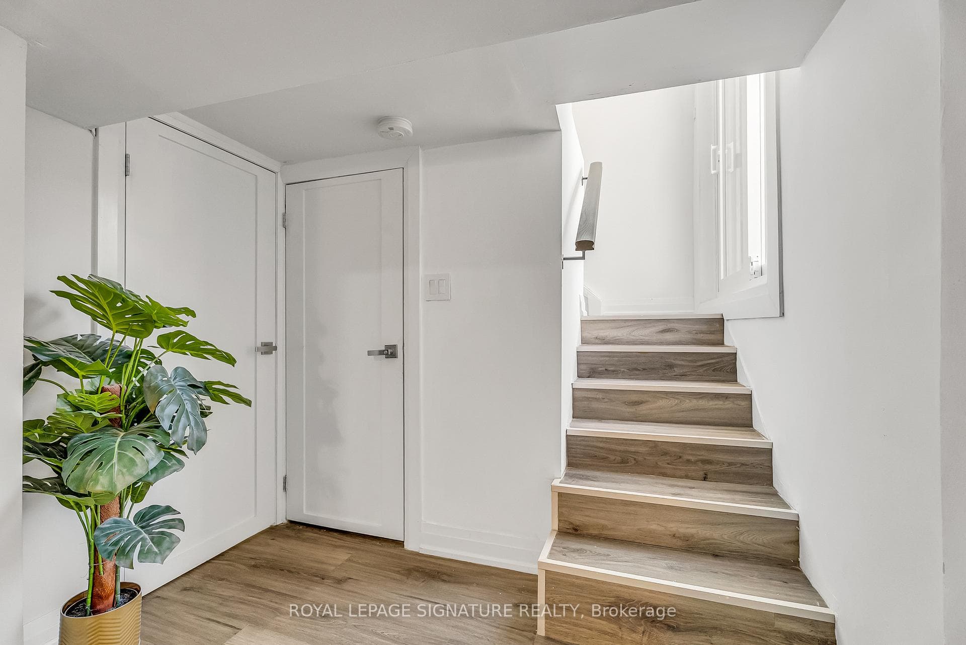 70 Clovelly Avenue photo 20