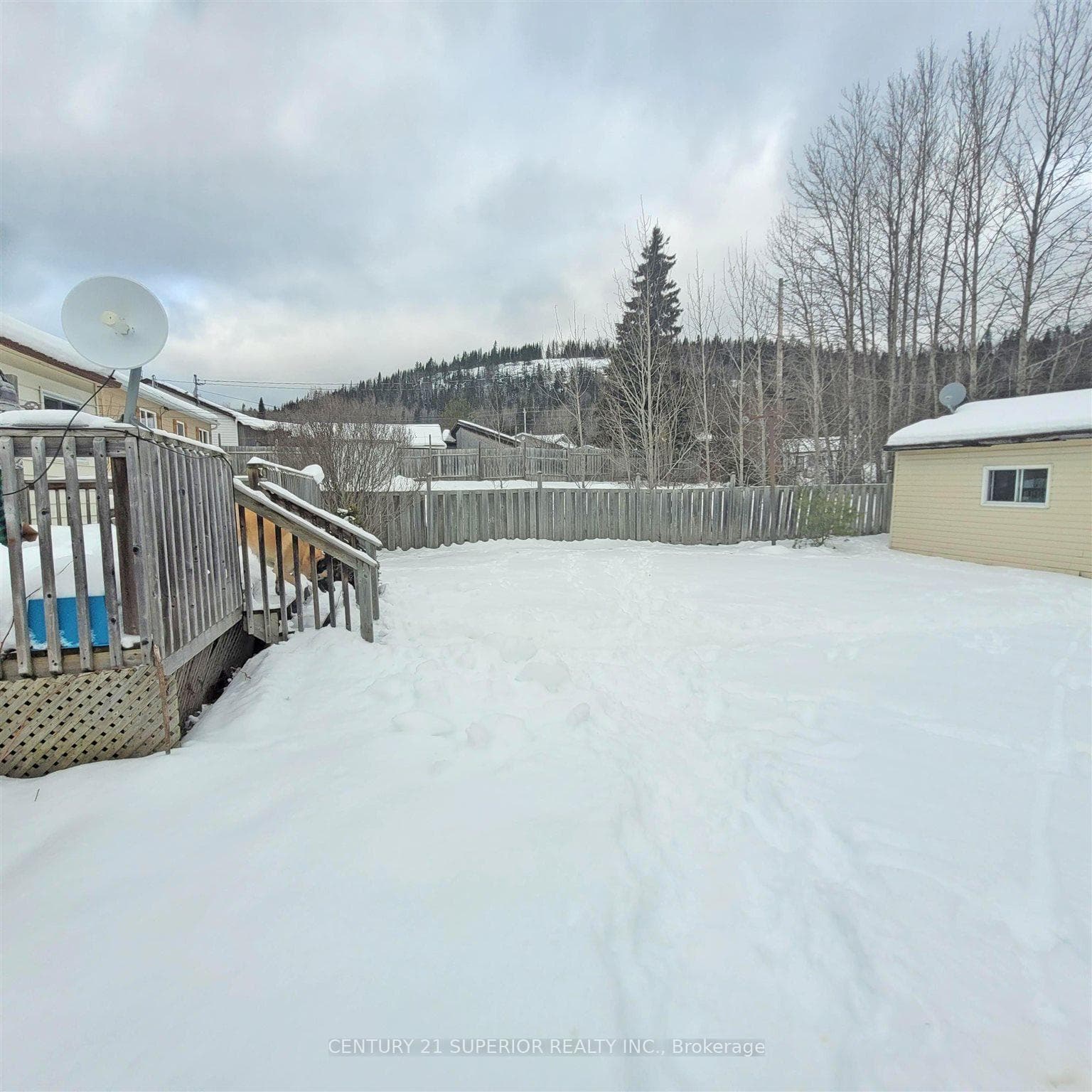 29 Flicker Avenue photo 25