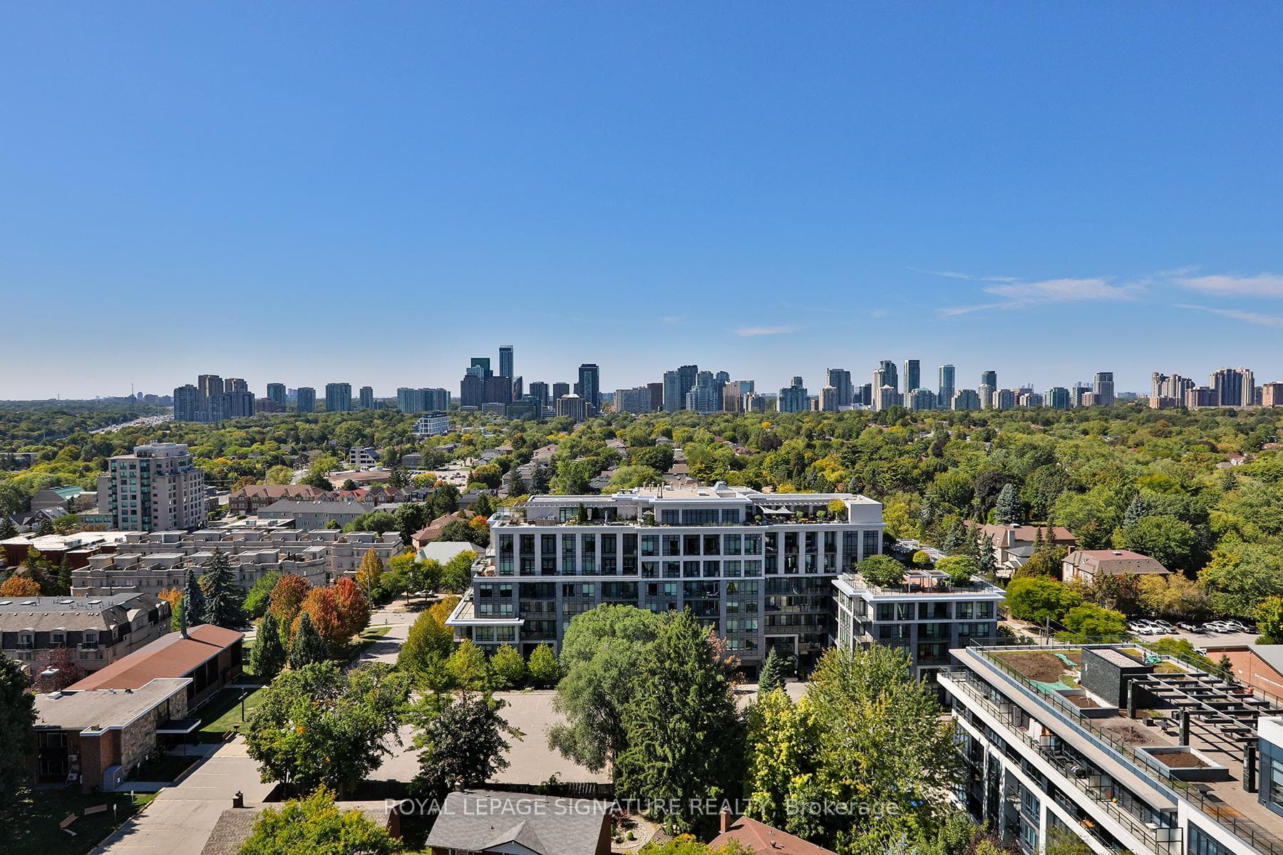 view from rooftop terrace