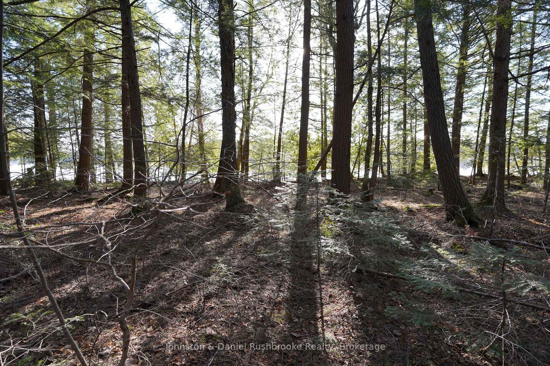Lot 1 West Bear Lake Road photo 12