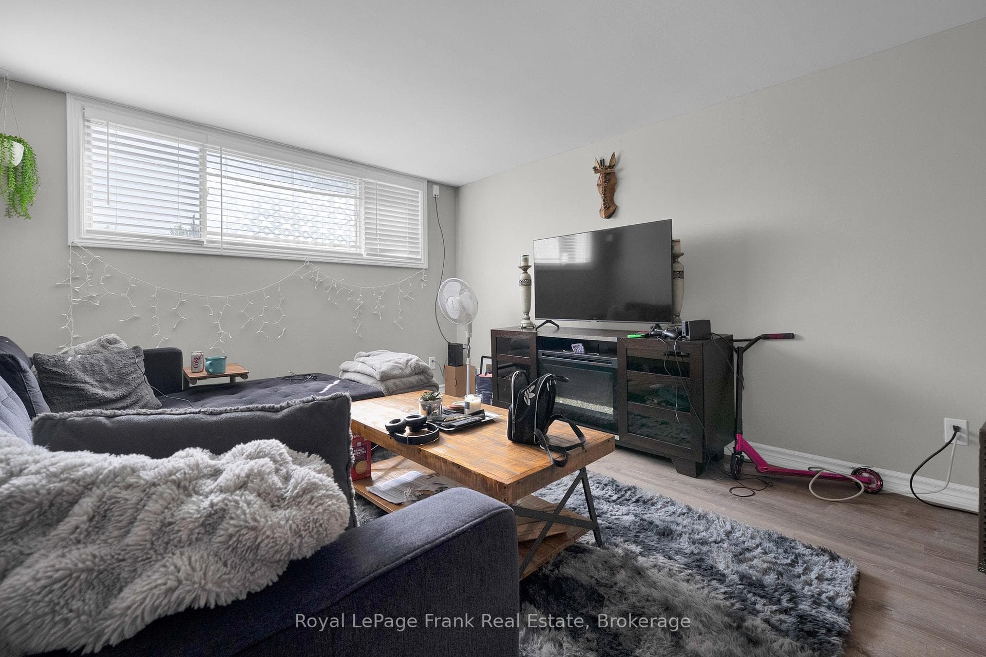 Bright above grade windows