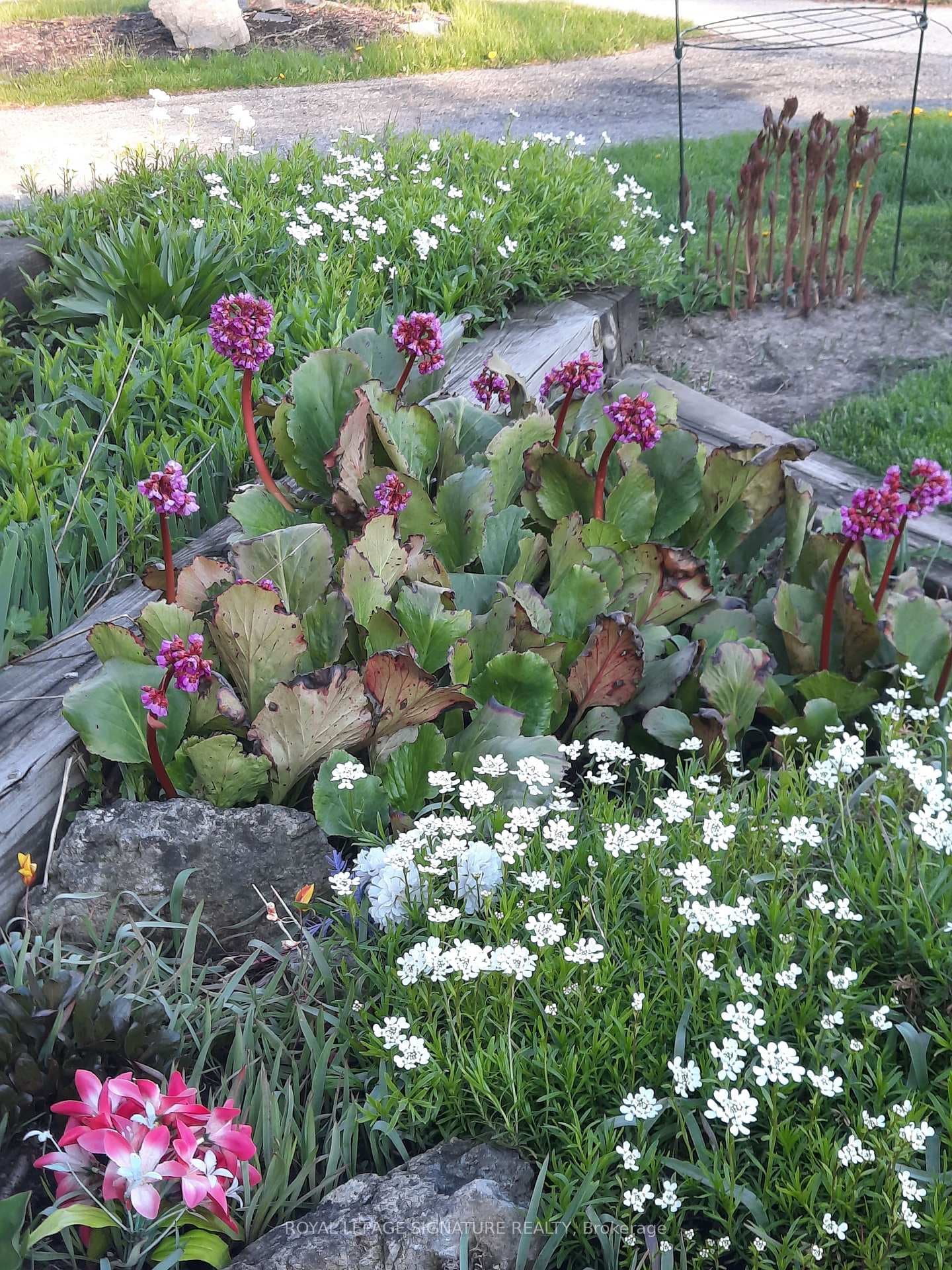 Front Garden