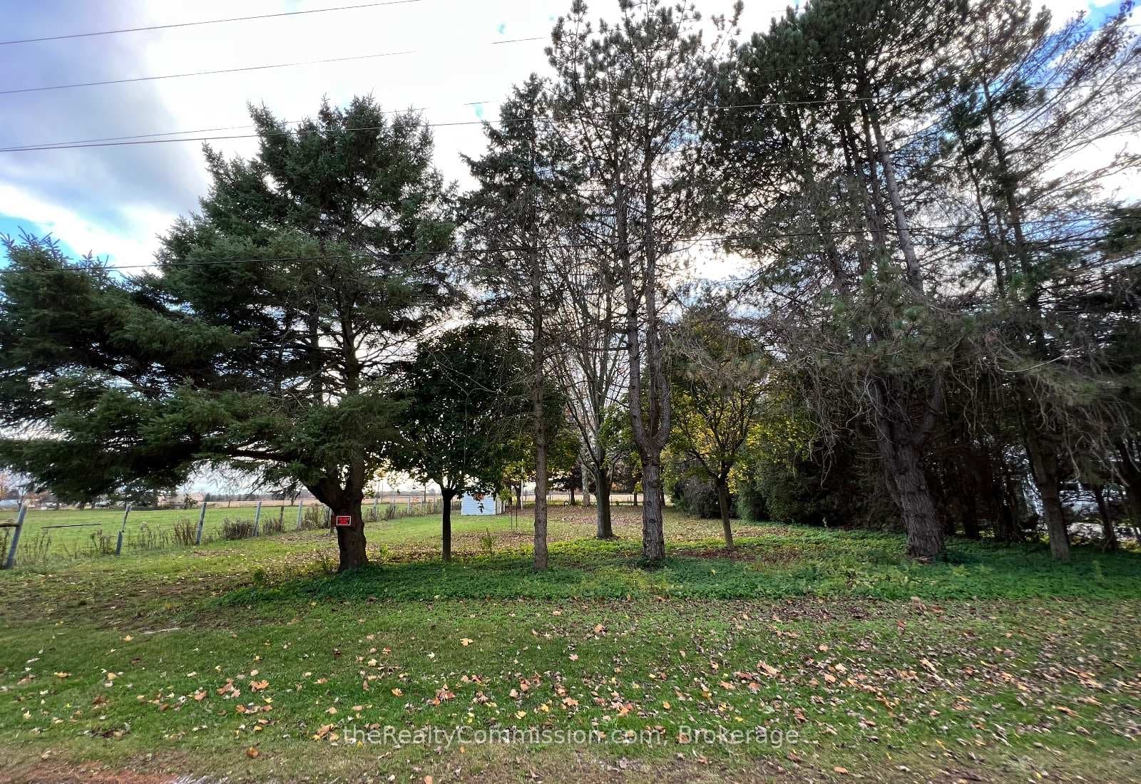 10767 Graham Road photo 3
