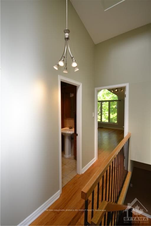 175 CRICHTON Street photo 26
