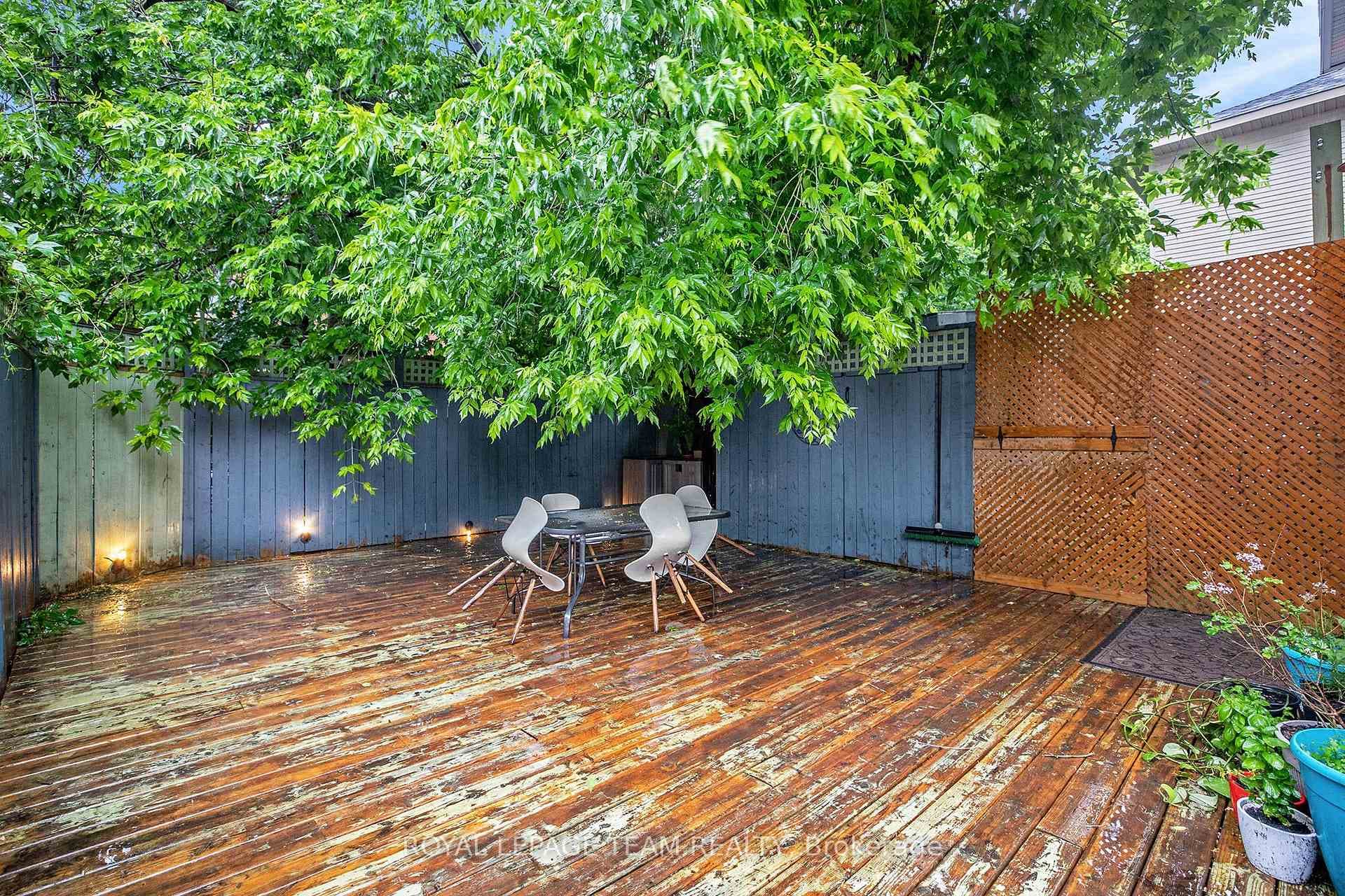 Backyard in Summer