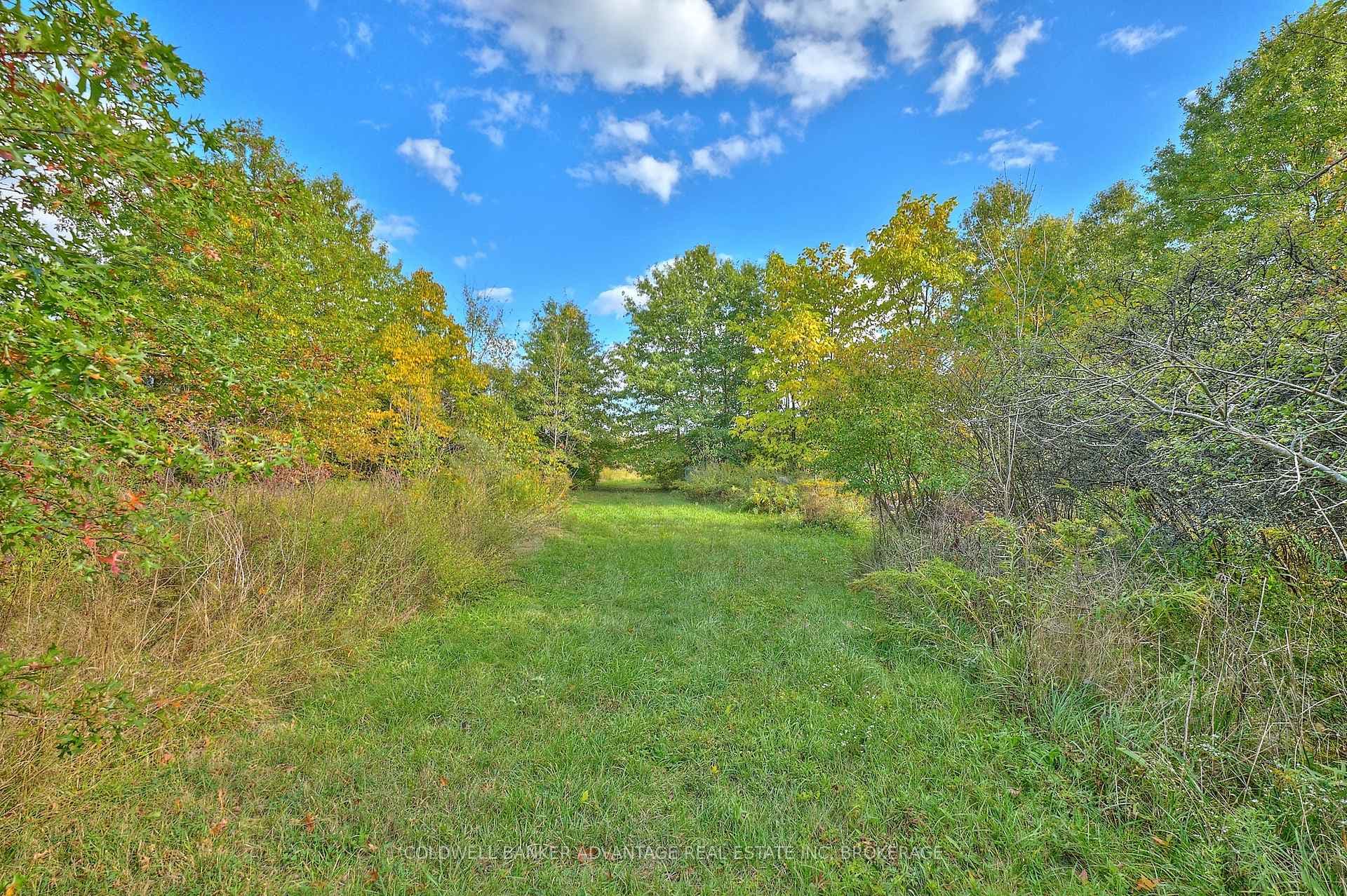 925 Carl Road photo 19
