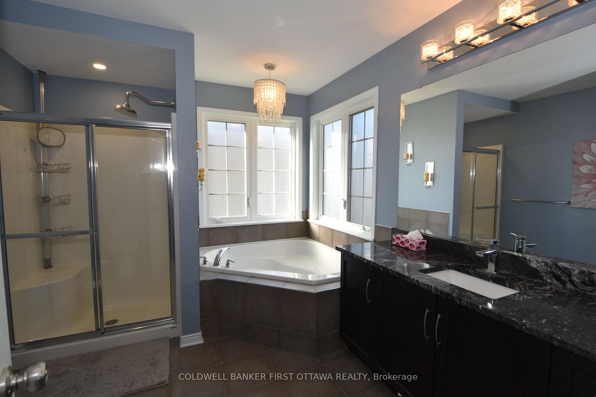 413 Blackleaf Drive photo 19