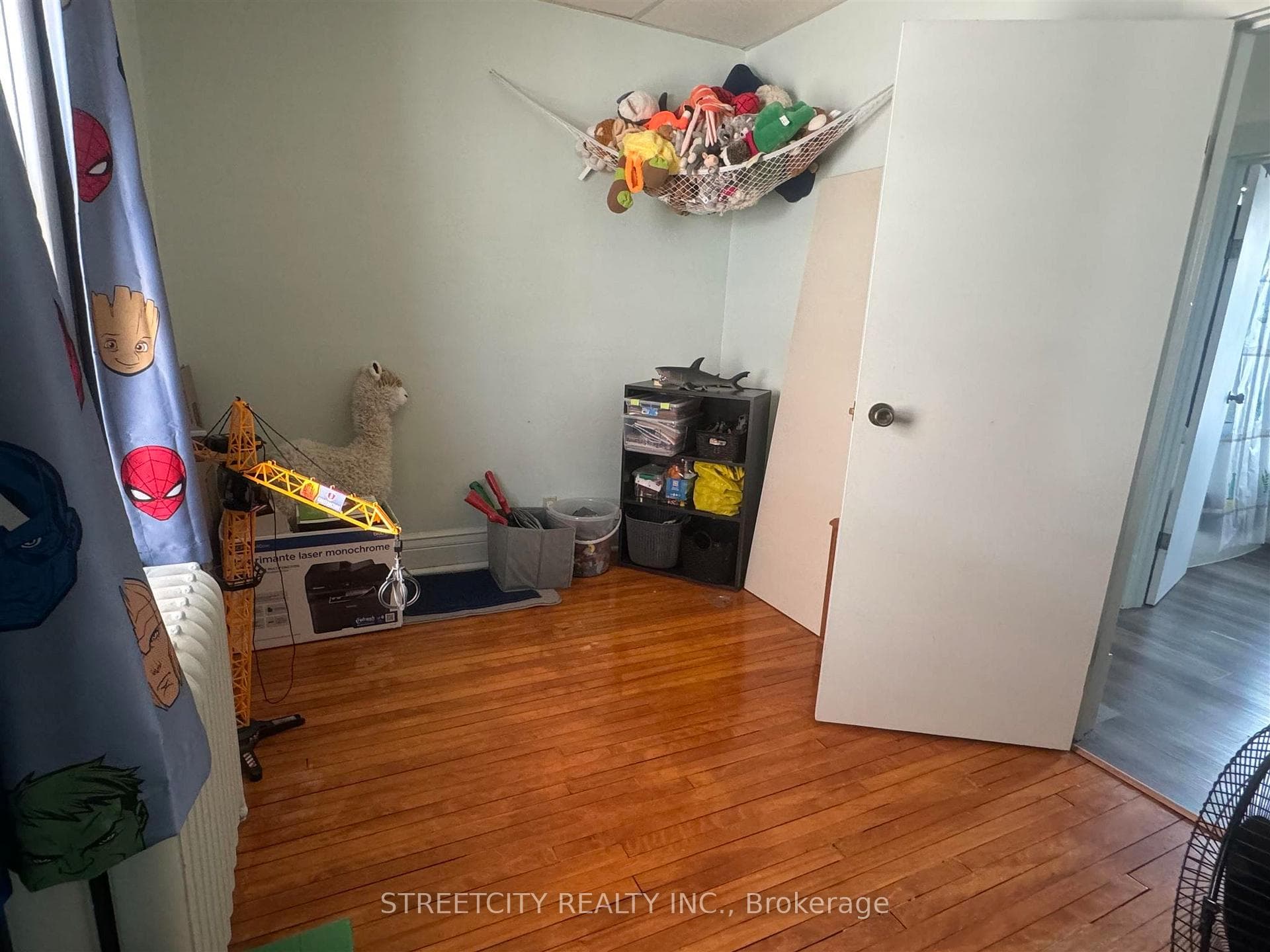 203 Balmoral Street photo 21
