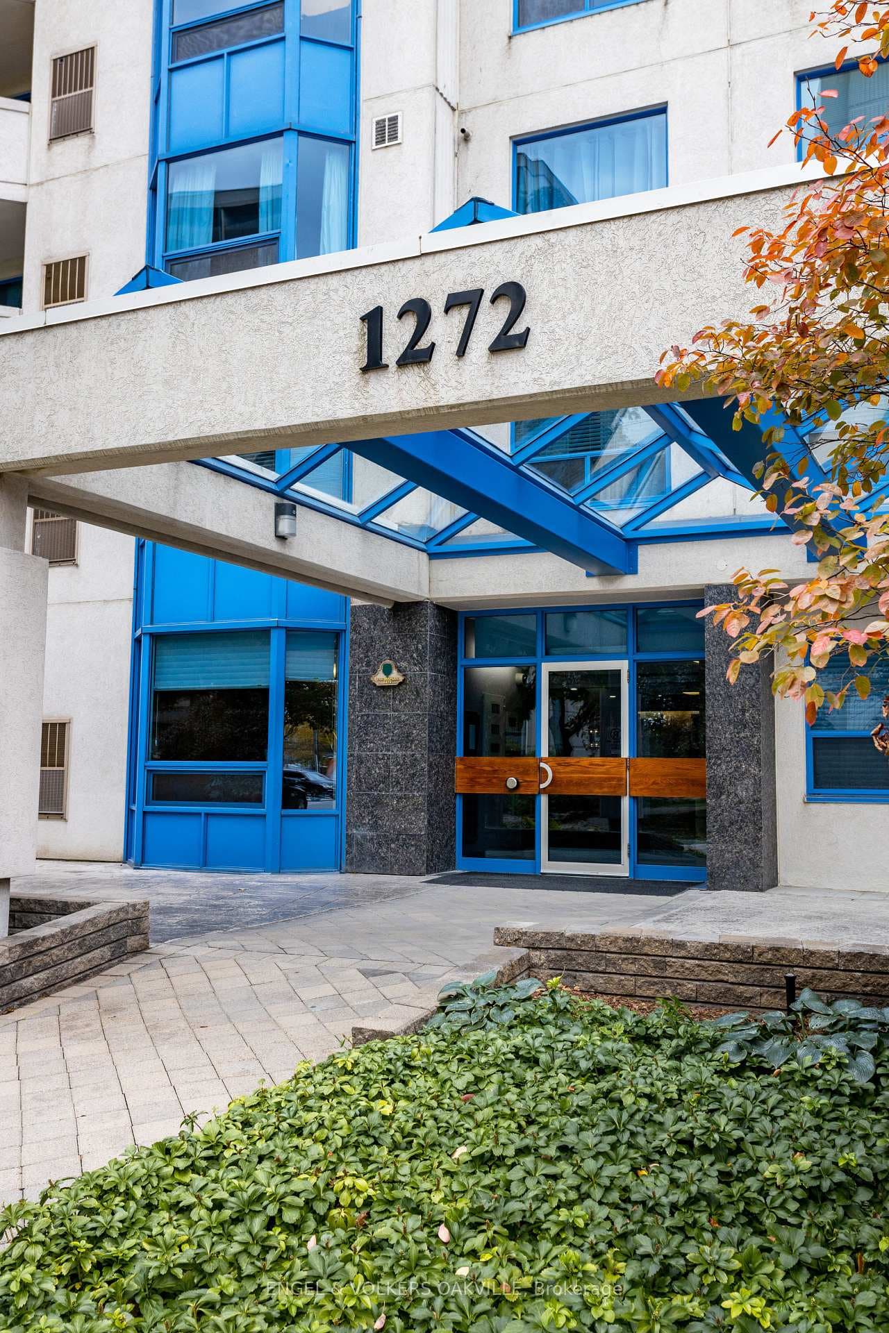 1272 Ontario Street Unit 203 photo 4