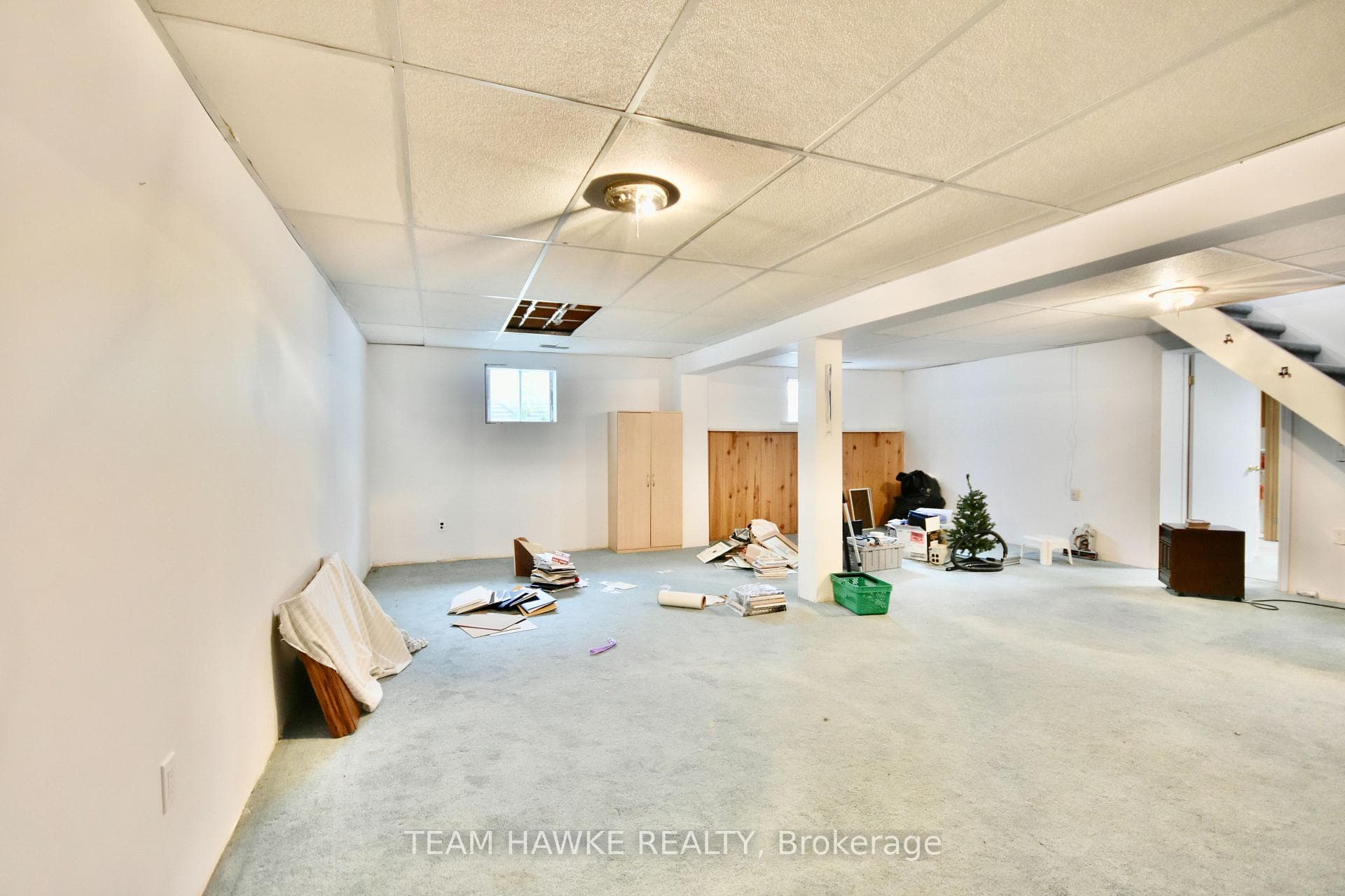 6 Timcourt Drive photo 27