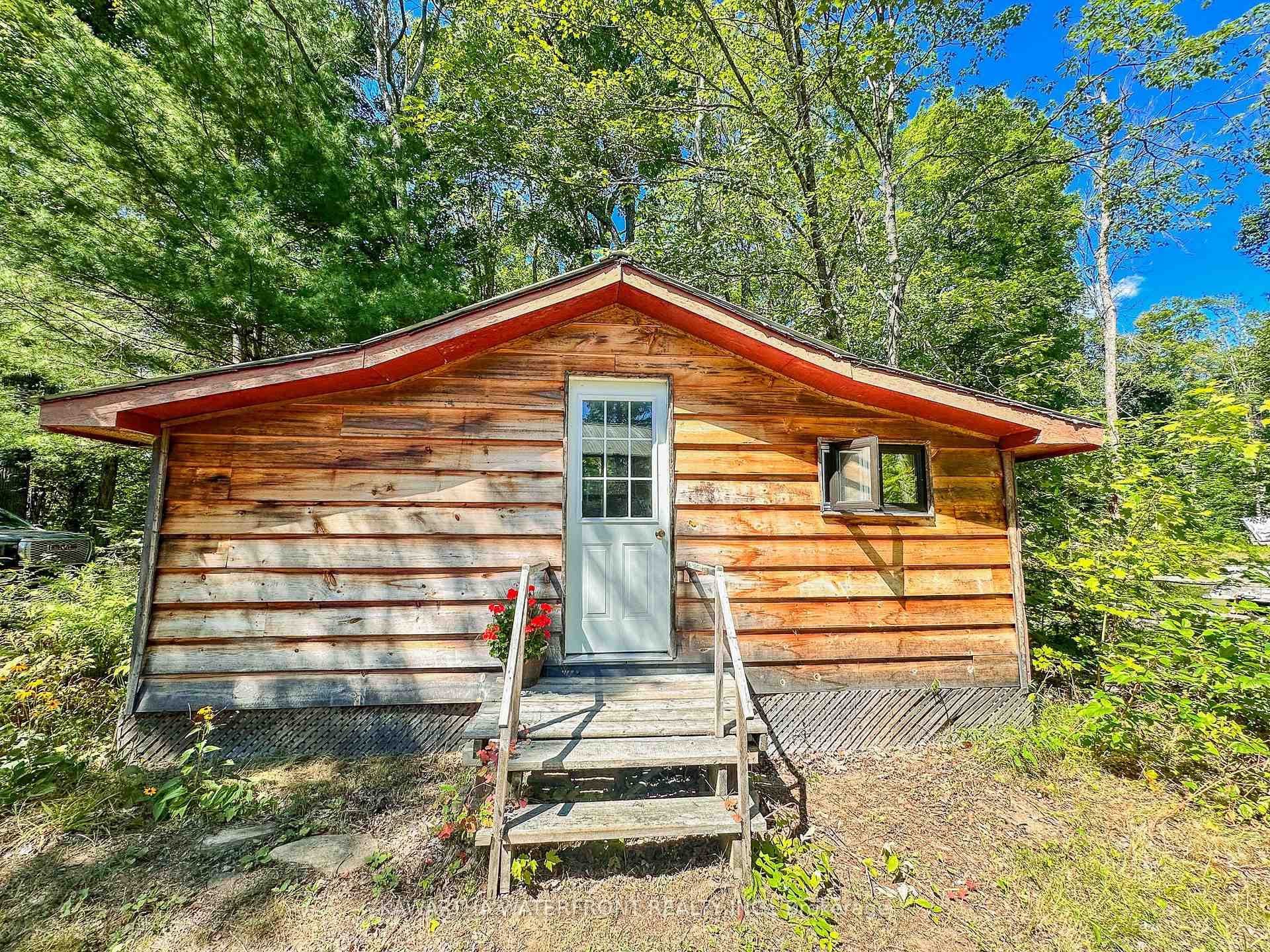 Bunkie