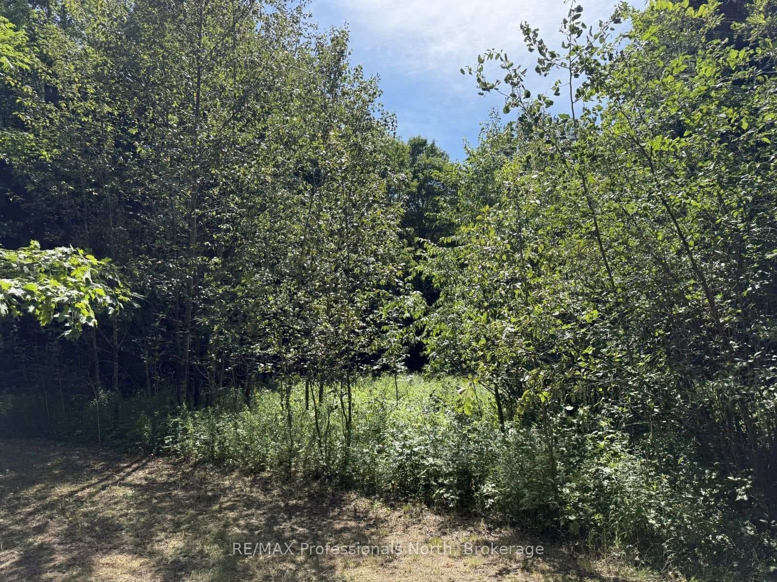 1170 Bushwolf Lake Road photo 22