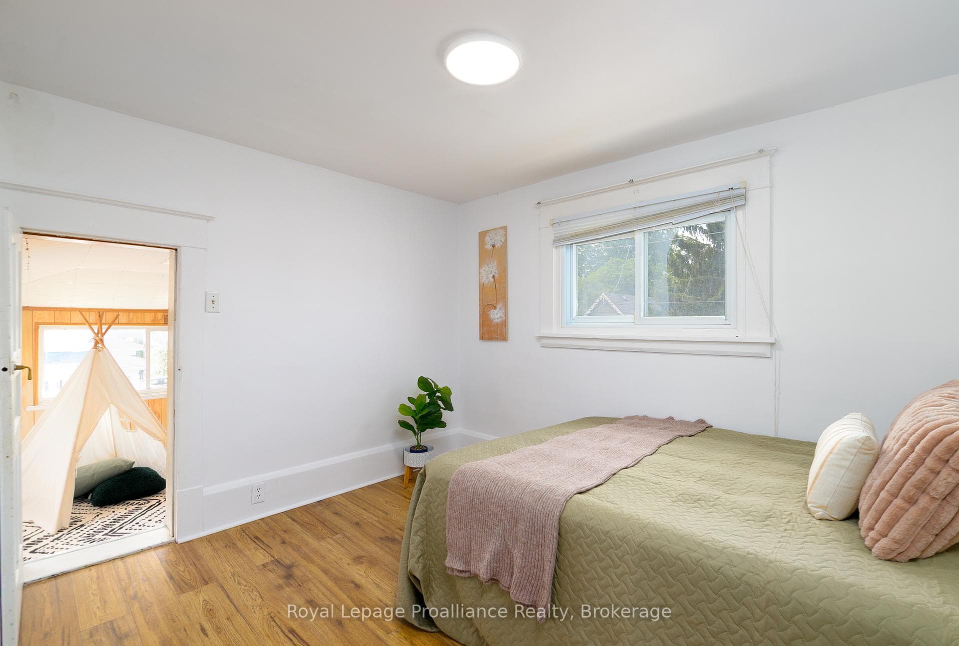 83 Moira Street photo 17