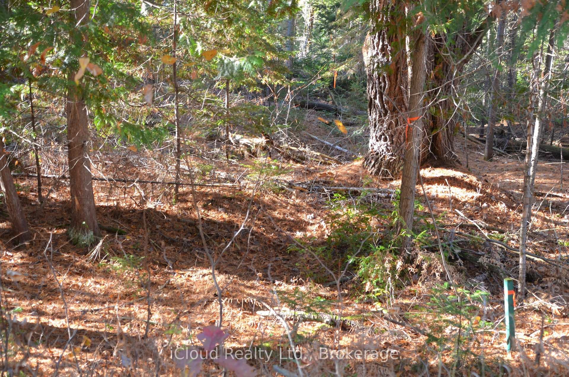 2 Parker Bay Road photo 14