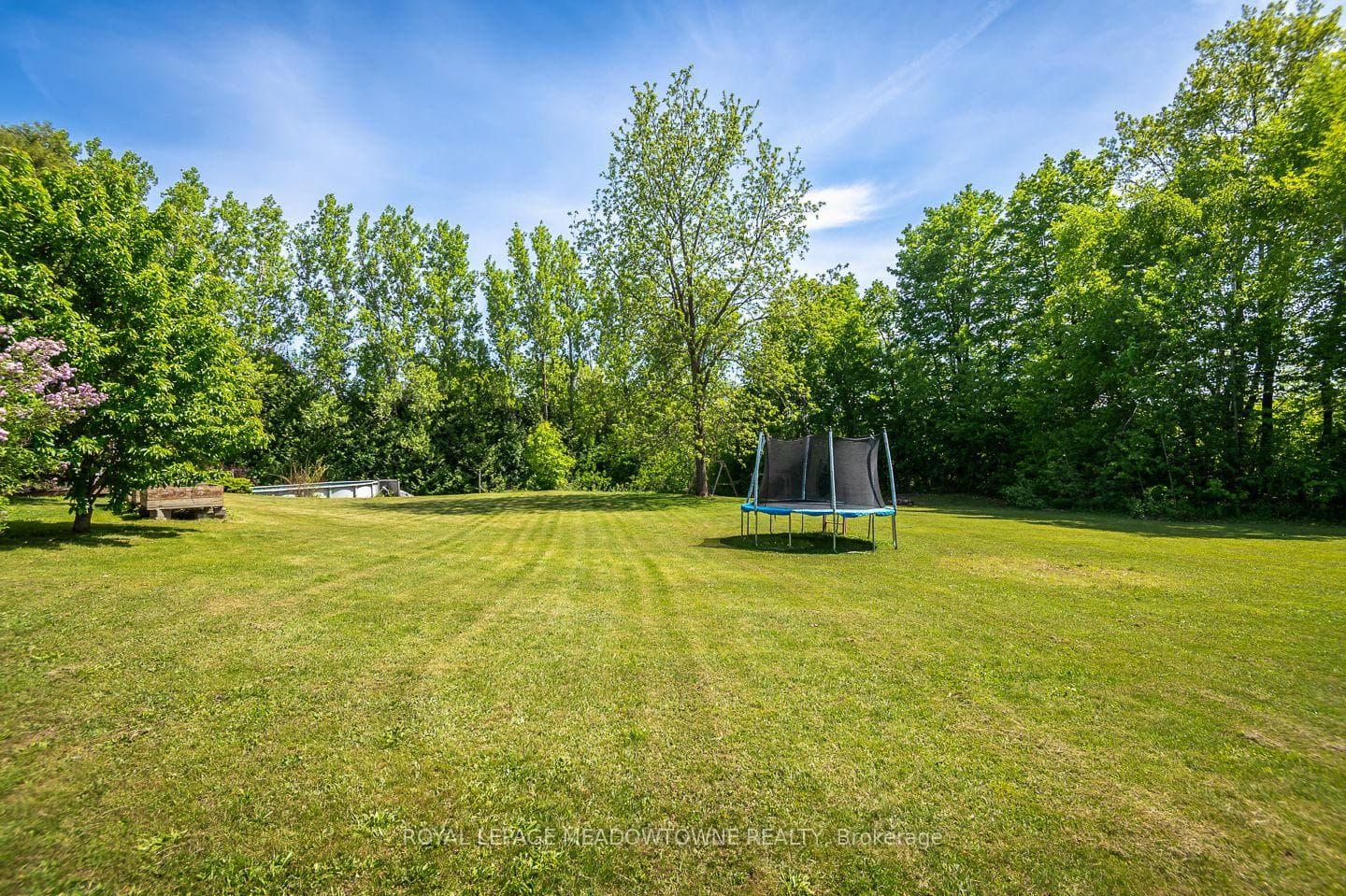 Huge backyard backing on to farmer's fields