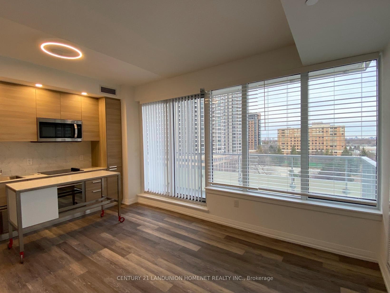 75 Canterbury Place Unit 1002 photo 1