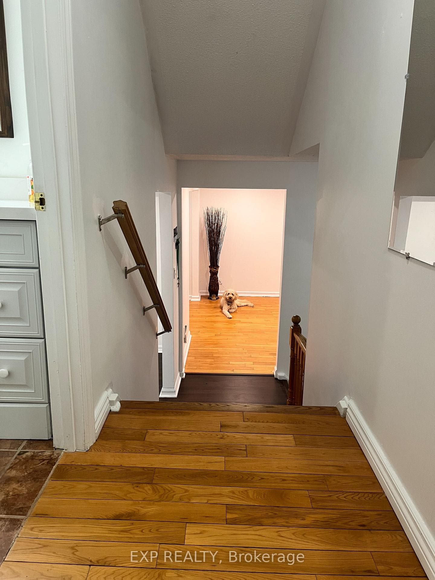 216 Colborne Street photo 23