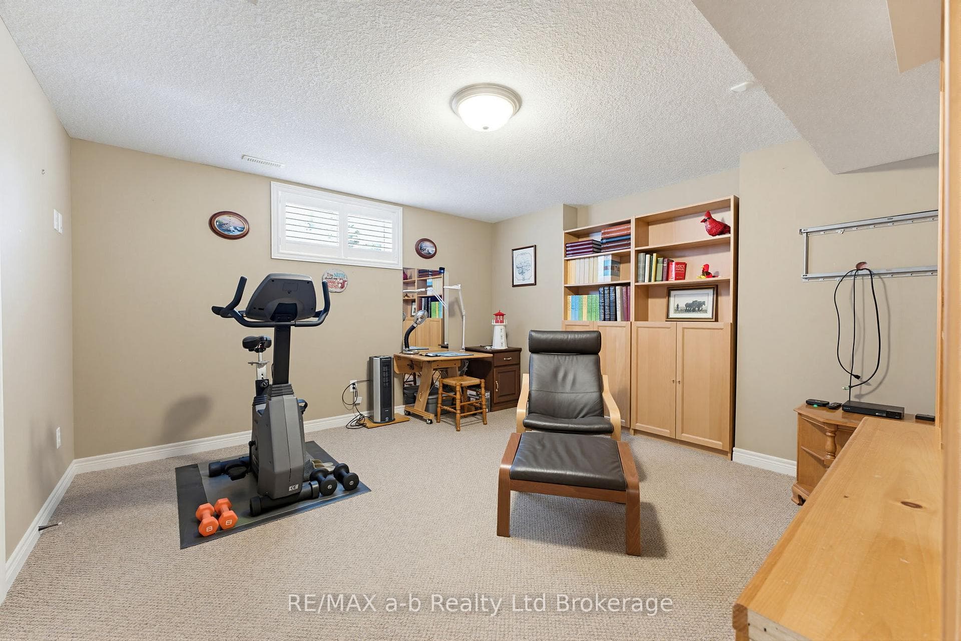 Lower level bedroom