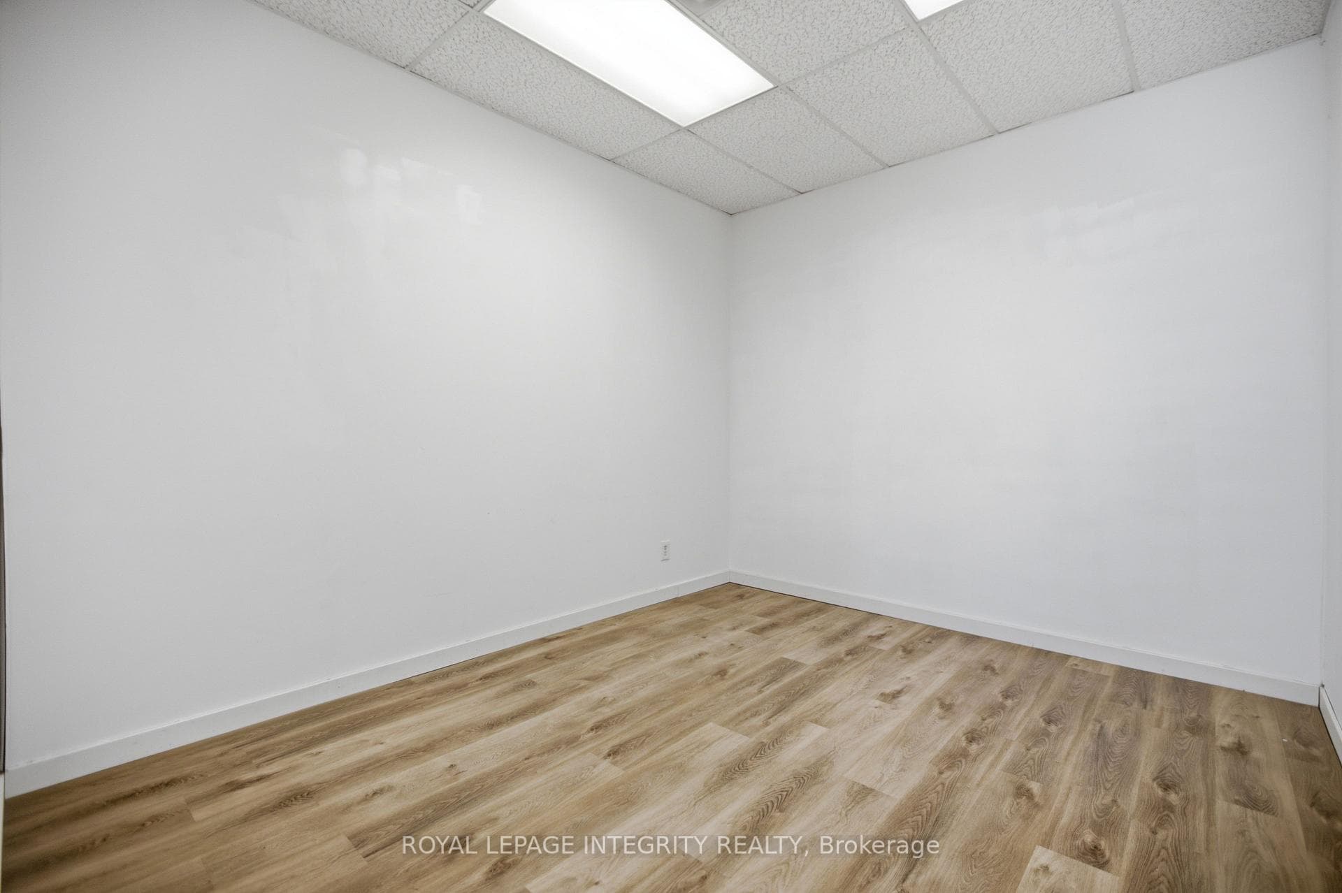 75 Elgin Street Unit 4 photo 6