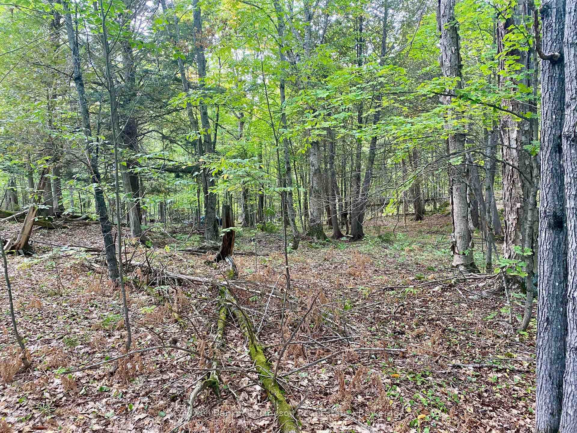 0 Clear Lake Road photo 6