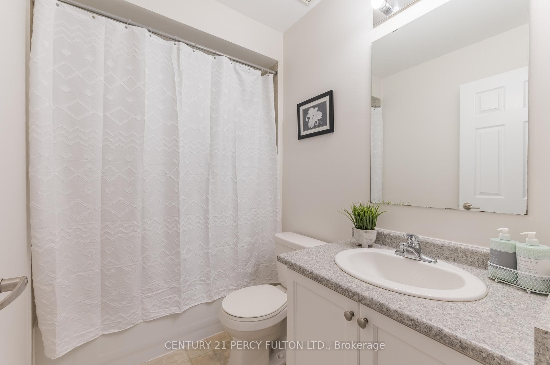 223 Cowling Heights photo 17