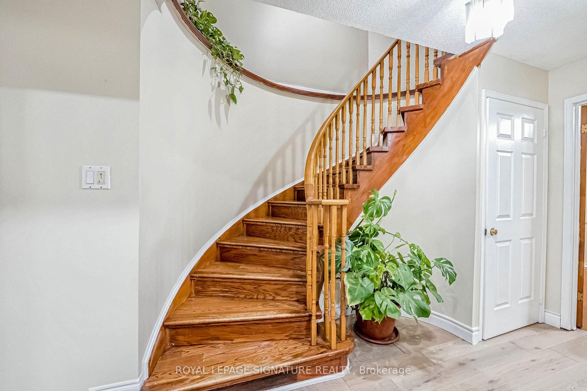 554 Galaxy Court photo 4