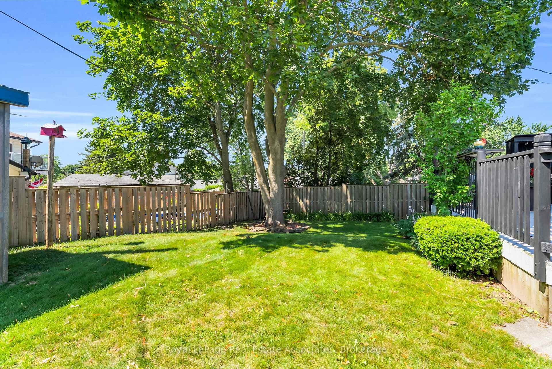 233 Elmore Drive photo 33