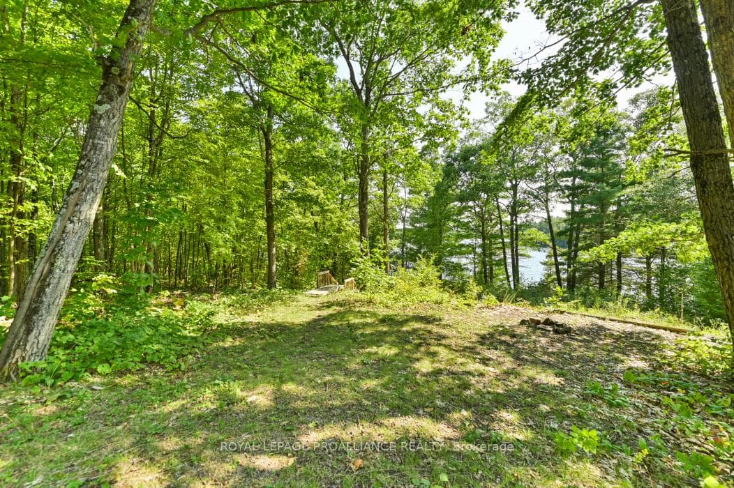 1091 Lindey Lane photo 28