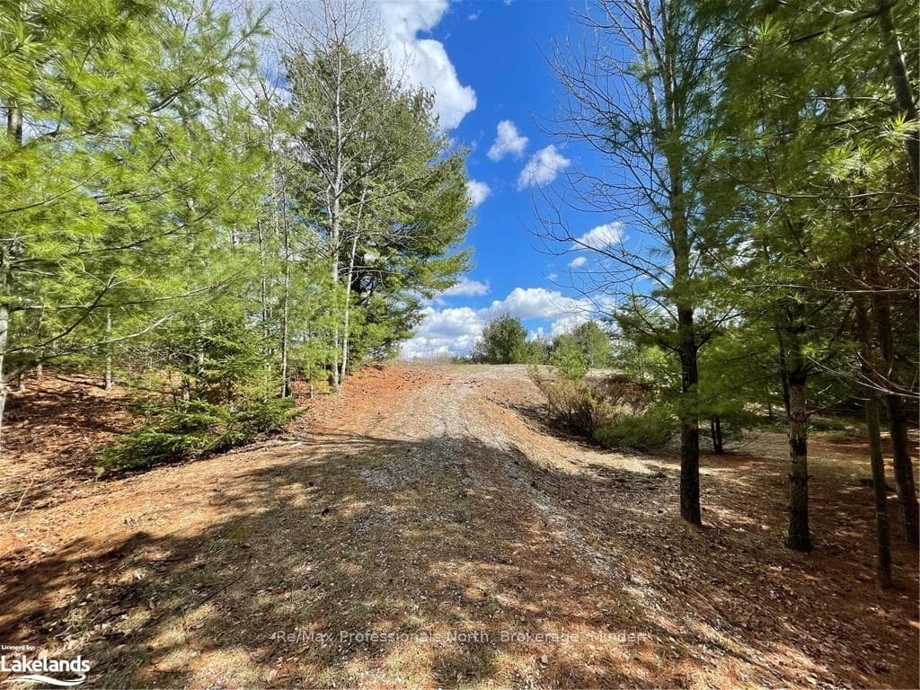 0 SPAR LAKE Road photo 3