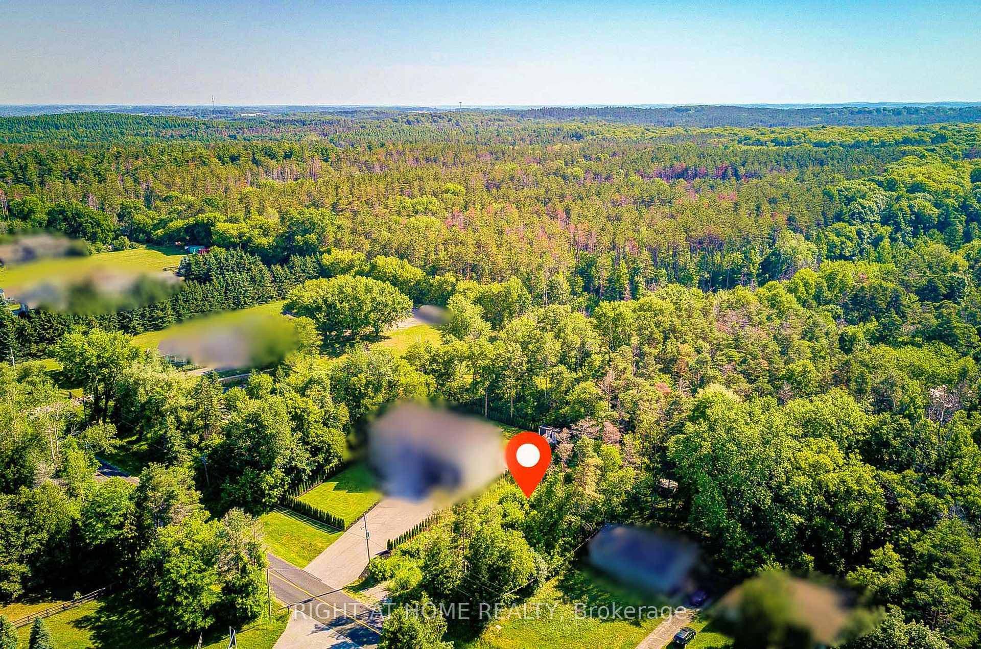 16895 Mccowan Road photo 8
