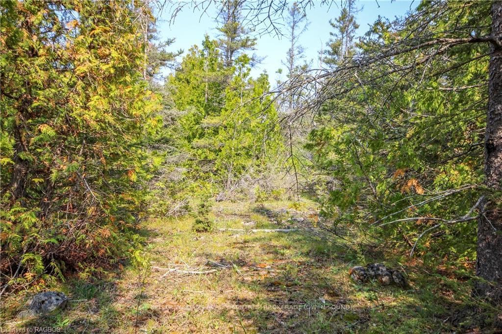 120 LITTLE PINE Drive photo 34