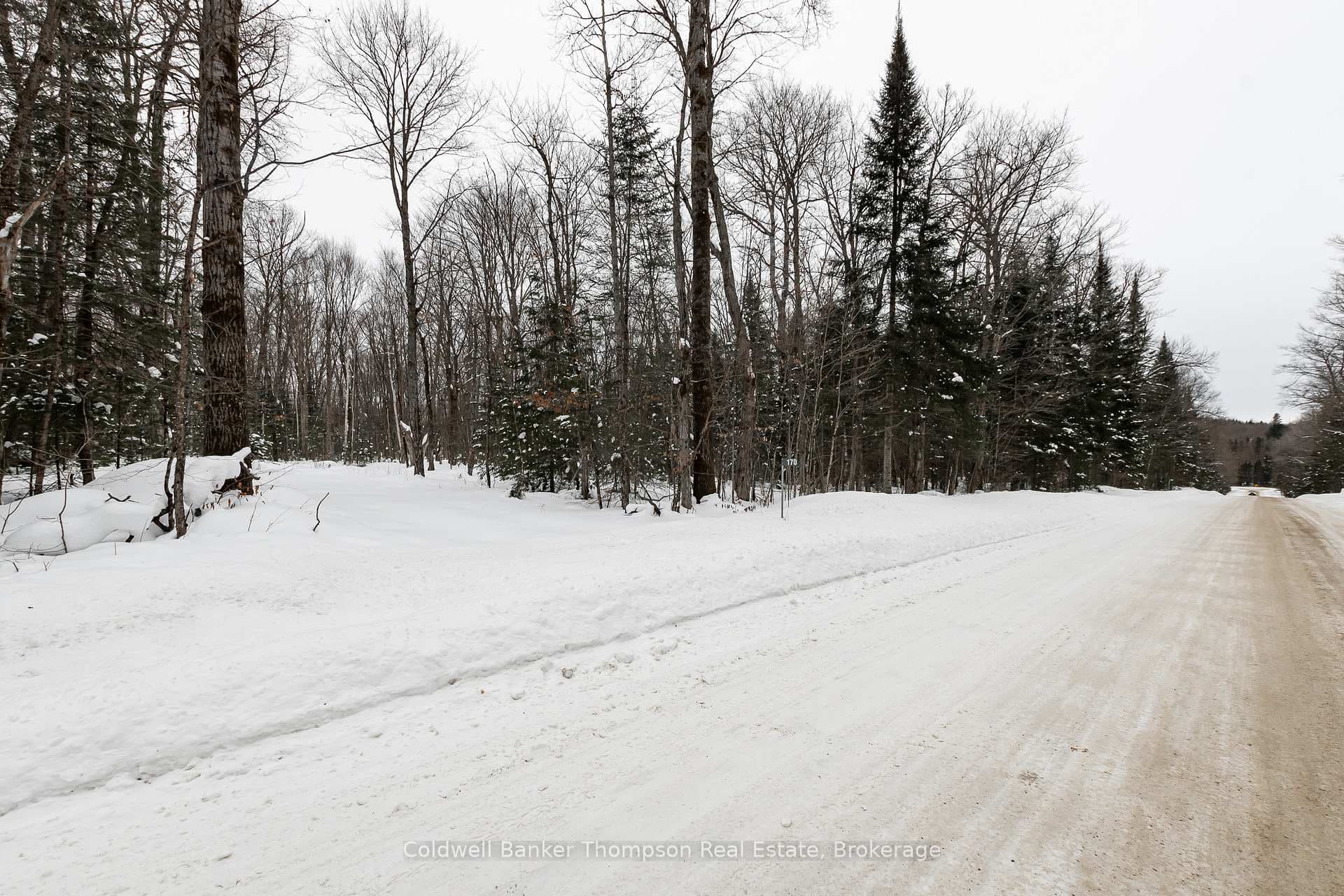 170 Ely Side Road photo 13