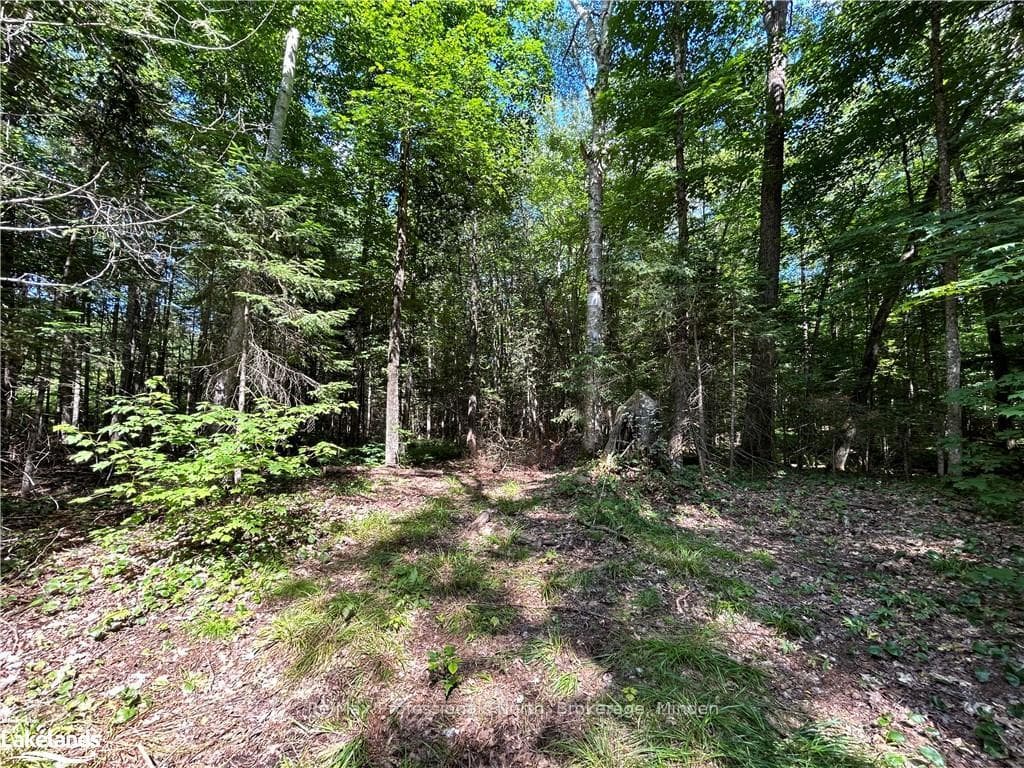 1124 LITTLE HAWK Road photo 11
