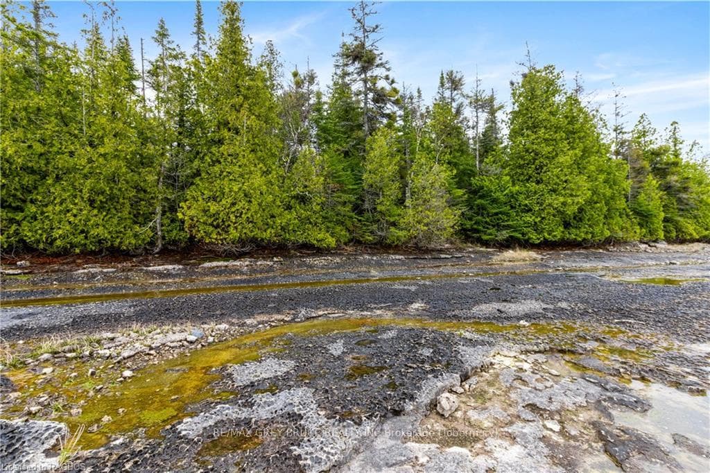 LOT 9 BAYSHORE Avenue photo 6