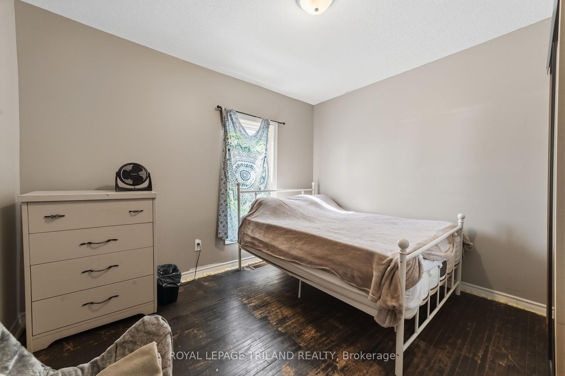 15 Dundas Street photo 34