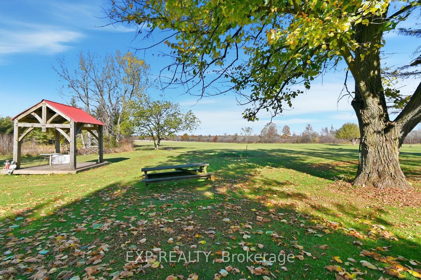 9043 Ridge Road photo 45