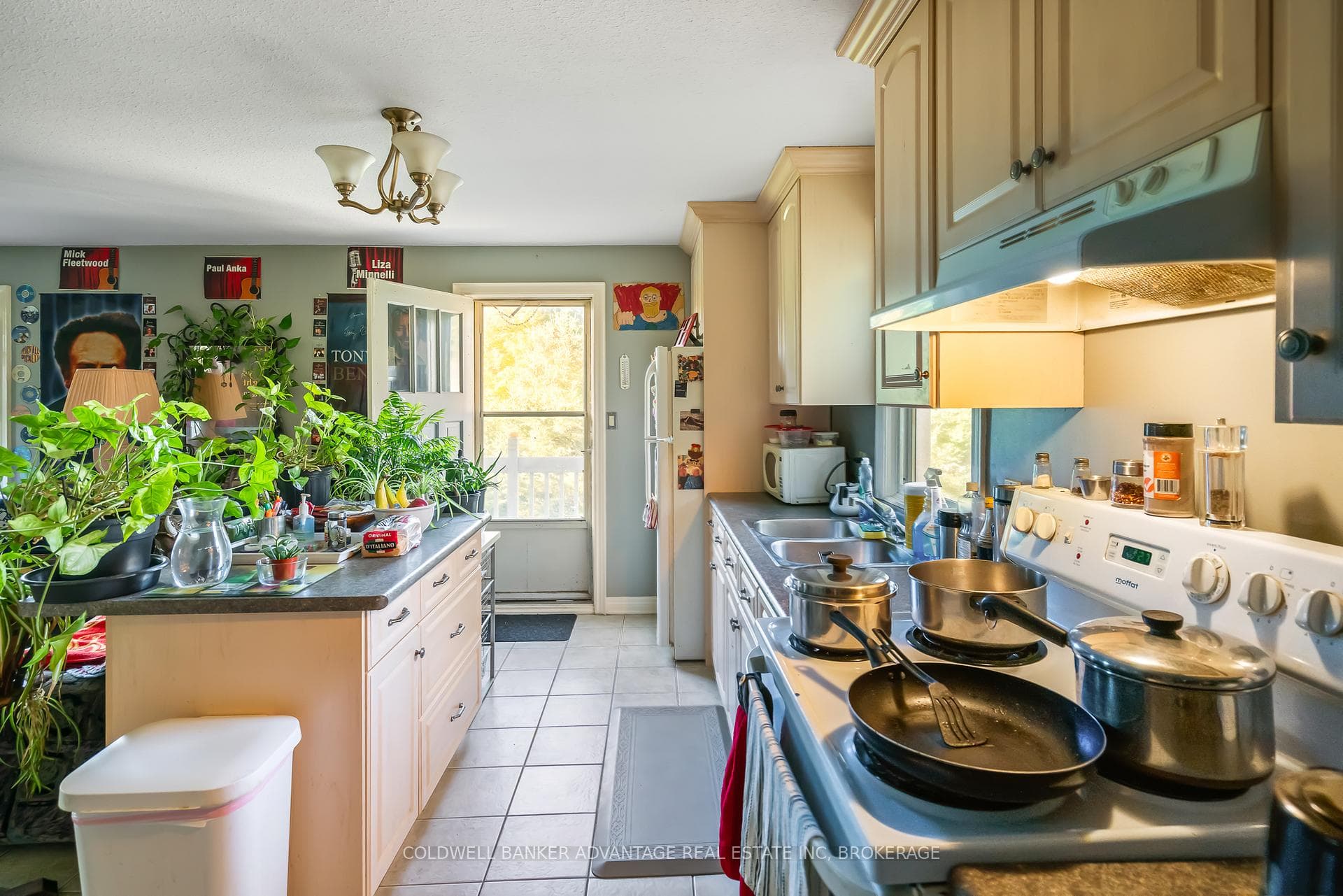 218 Canboro Road photo 21