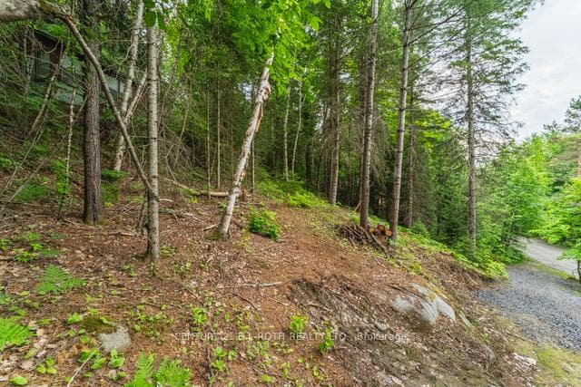 101 Balsam Chutes Road photo 3