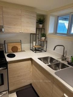 Kitchen sink and counter top