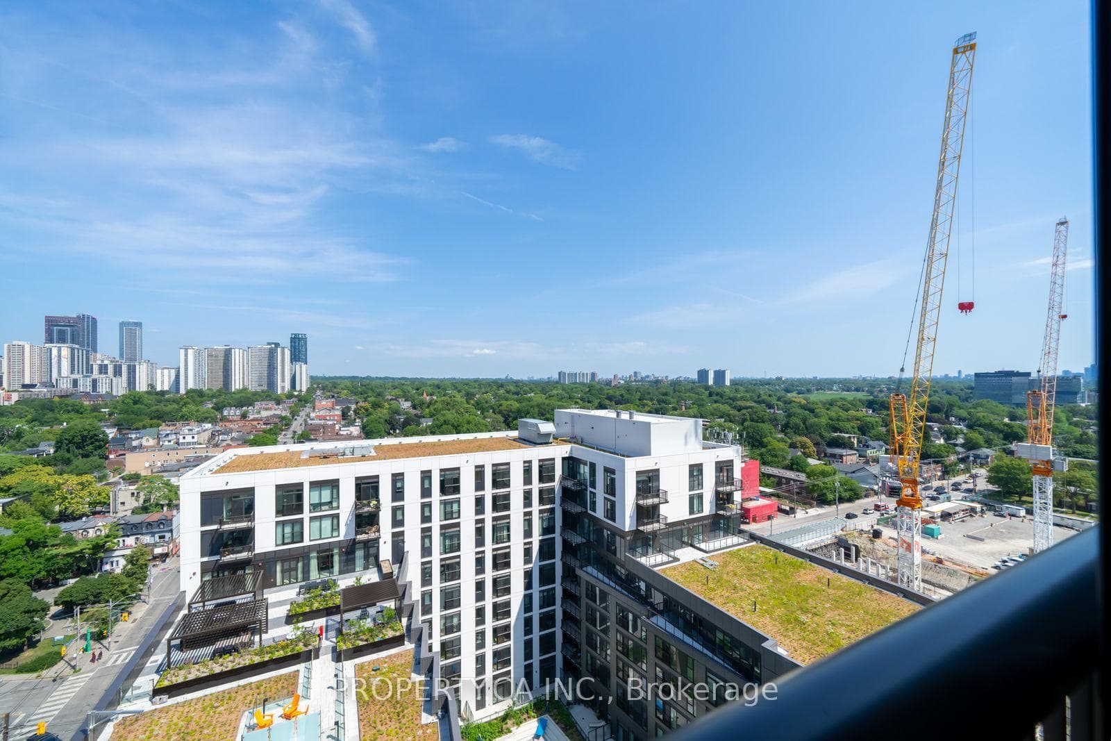 10 Oak Street Unit 1409 photo 17